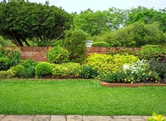 landscaping services Waynesville